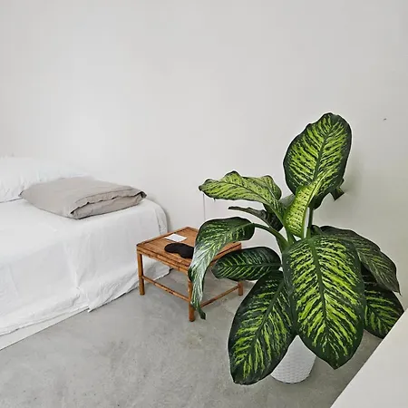 Vicomeamore Apartament