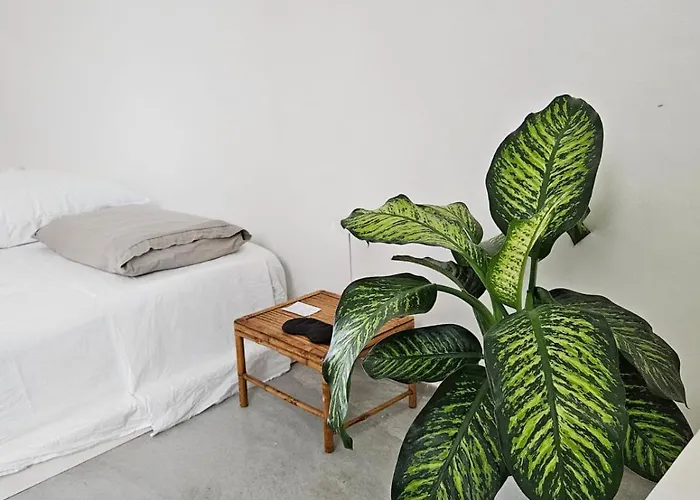 Vicomeamore Appartamento